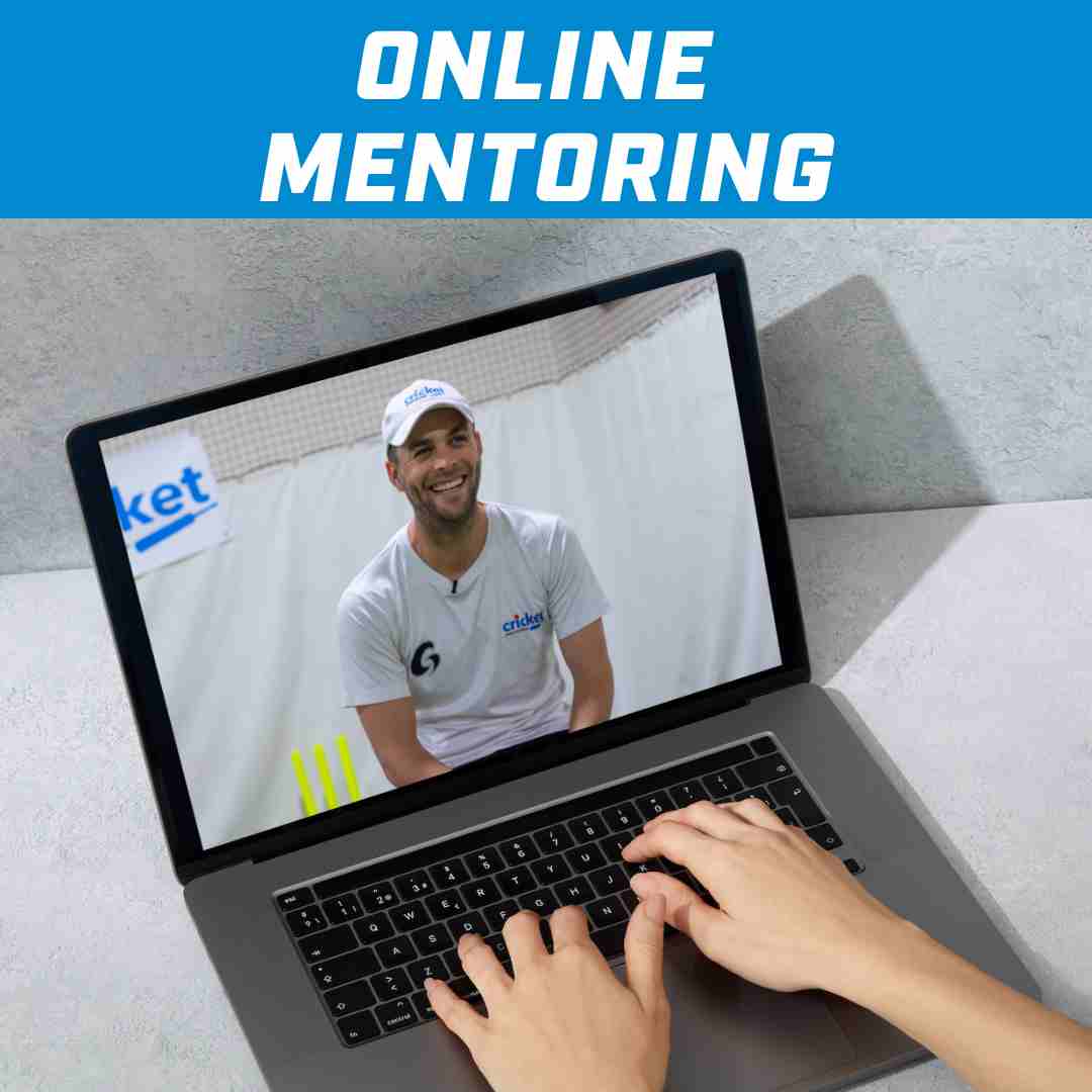 1 to 1 Online Mentoring with Scolls (8 sessions)